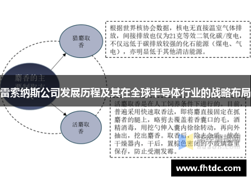 雷索纳斯公司发展历程及其在全球半导体行业的战略布局